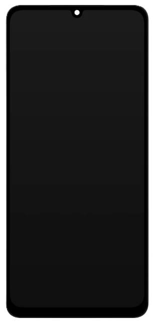 Conjunto Pantalla OCTA para Galaxy A06  (Repuesto) Negro