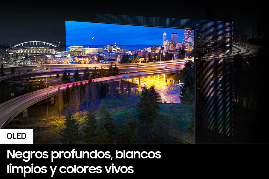 QN55S90DAGXZS 