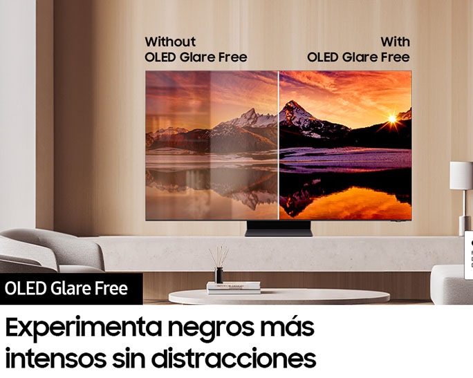 QN55S95DAGXZS 