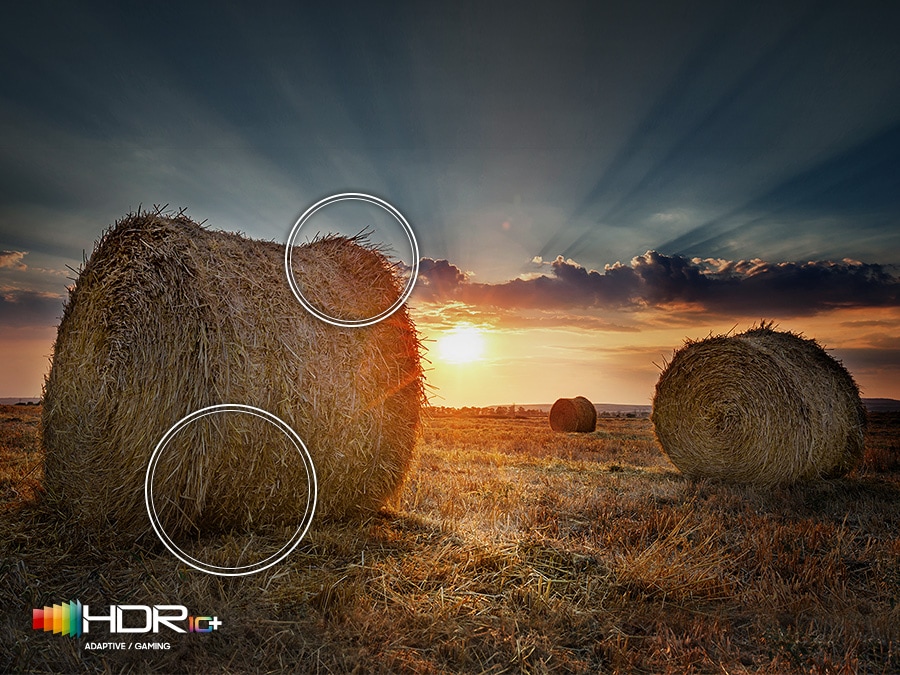 Mặt trời đang lặn trên thảo nguyên thể hiện độ tương phản rộng nhờ công nghệ Quantum HDR. Logo HDR10+ hiển thị.