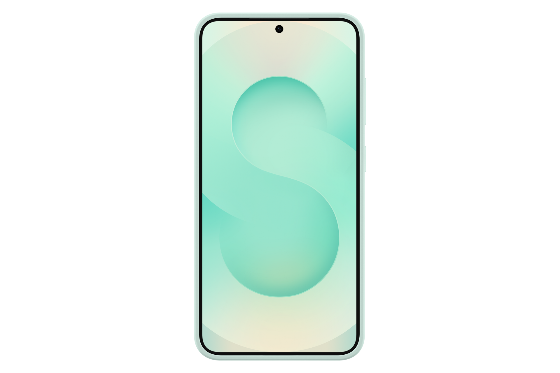 back Mint