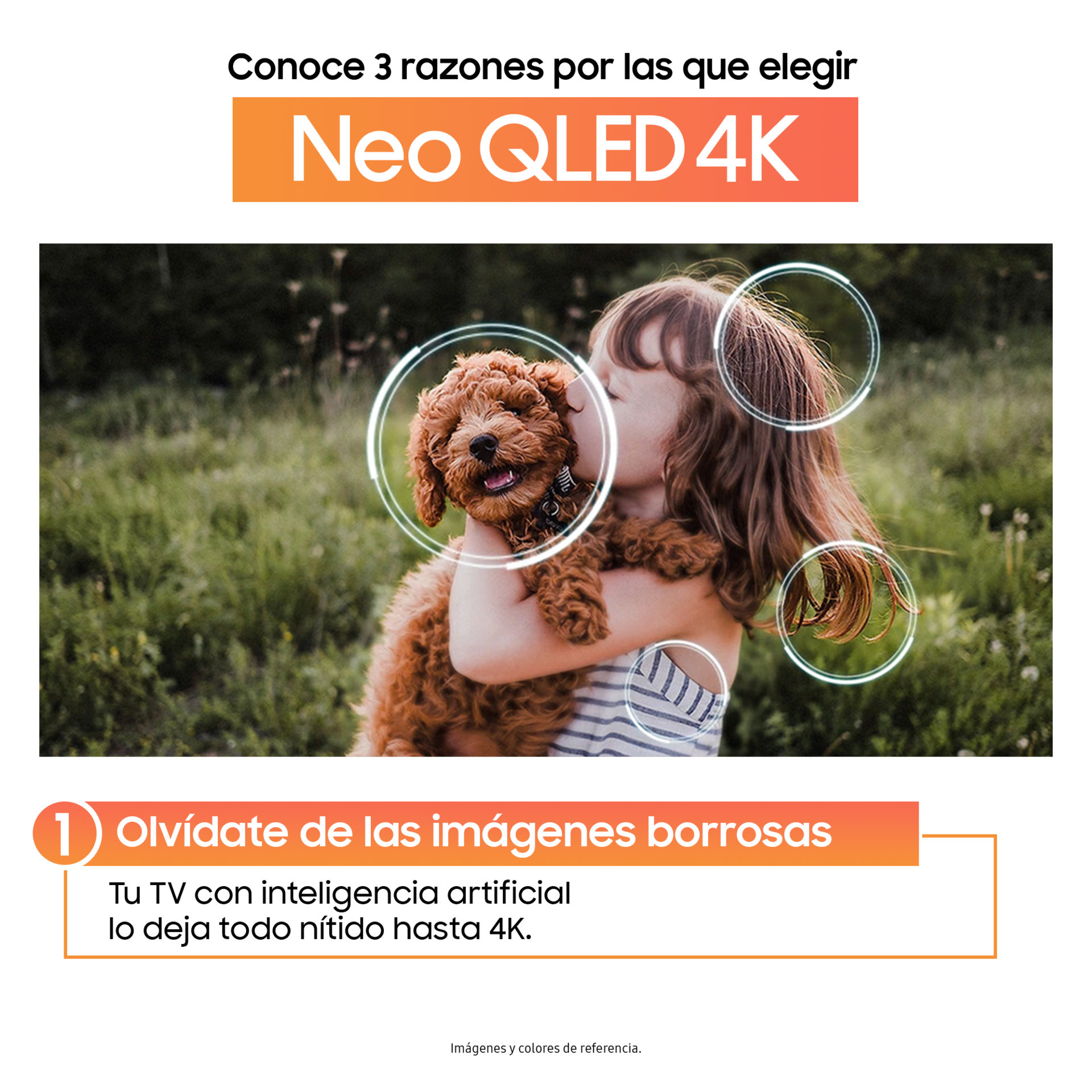 Televisor Smart 100” Neo QLED 4K QN80F (2025) + Barra de Sonido HW-Q800F/ZL Negro