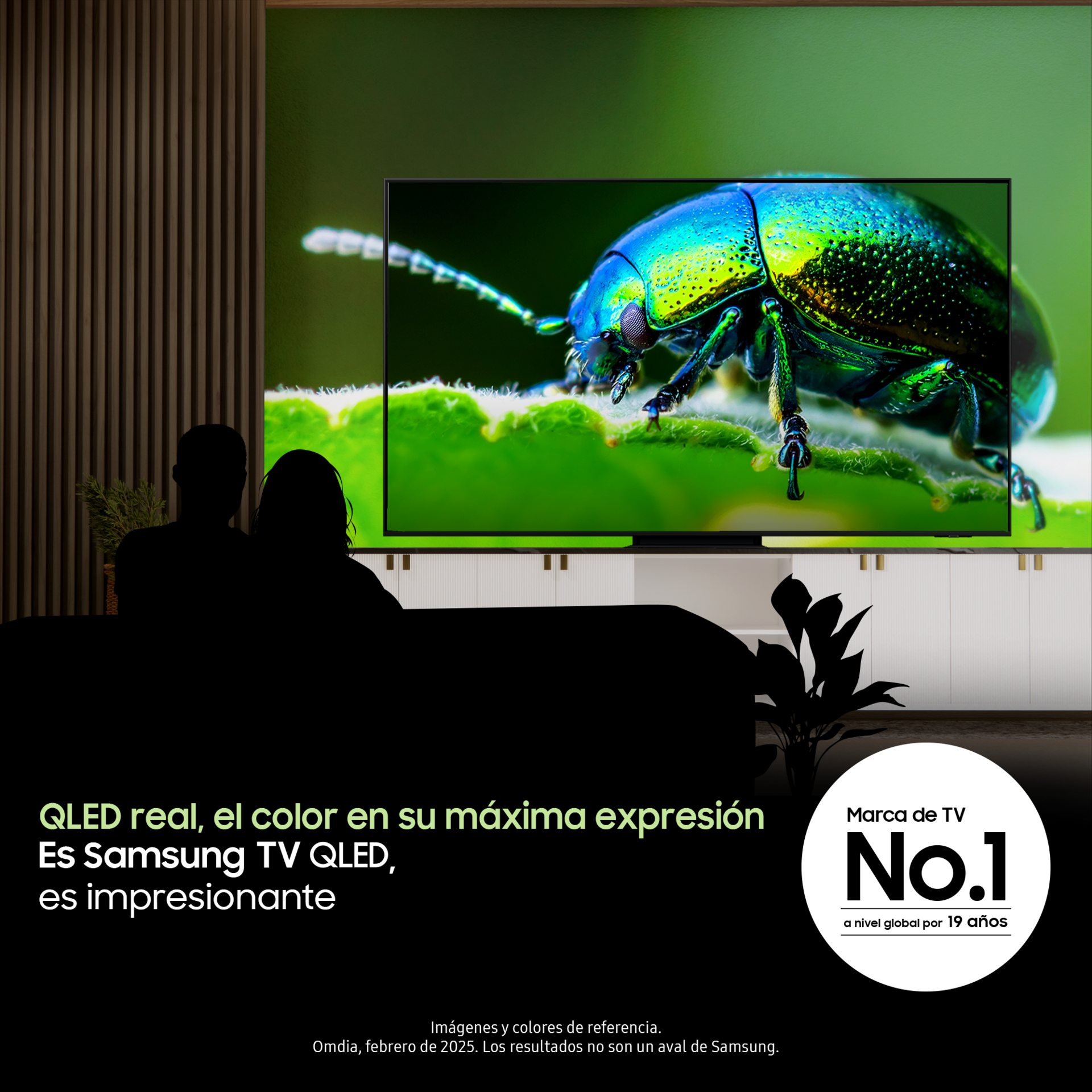 Televisor Smart 65” QLED Q8F (2025) + Barra de Sonido HW-B650F/ZL Negro