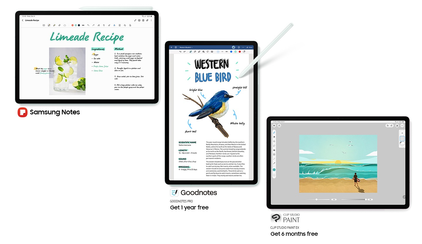 Galaxy Tab S9 FE+ en Mint en modo horizontal, mirando hacia adelante con el S Pen conectado en la parte superior y la aplicación Samsung Notes abierta en la pantalla. Logotipo de Samsung Notes. Galaxy Tab S9 FE+ en Mint en modo vertical, mirando hacia adelante con el S Pen apuntando a la pantalla y la aplicación GOODNOTES PRO abierta con texto Obtené 1 año gratis. Galaxy Tab S9 FE+ en Lavender en modo horizontal, mirando hacia adelante con la aplicación Clip Studio Paint abierta en pantalla con texto CLIPSTUDIO EX Obtené 6 meses gratis.