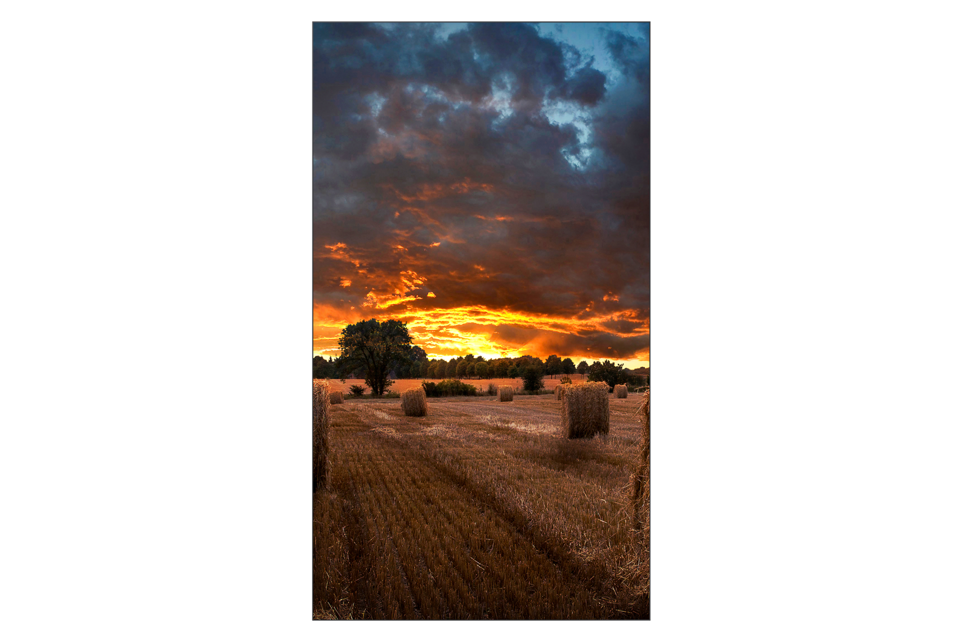 VM55B-U Ultra Narrow Bezel Video Wall Vertical Black 