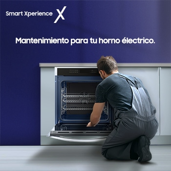 Mantenimiento general - Horno Eléctrico Custimizable