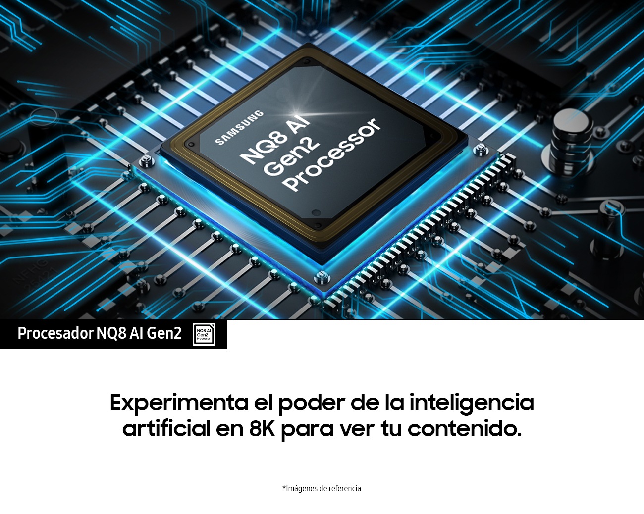 [QÑ65QÑ~800DKXZ~L] 