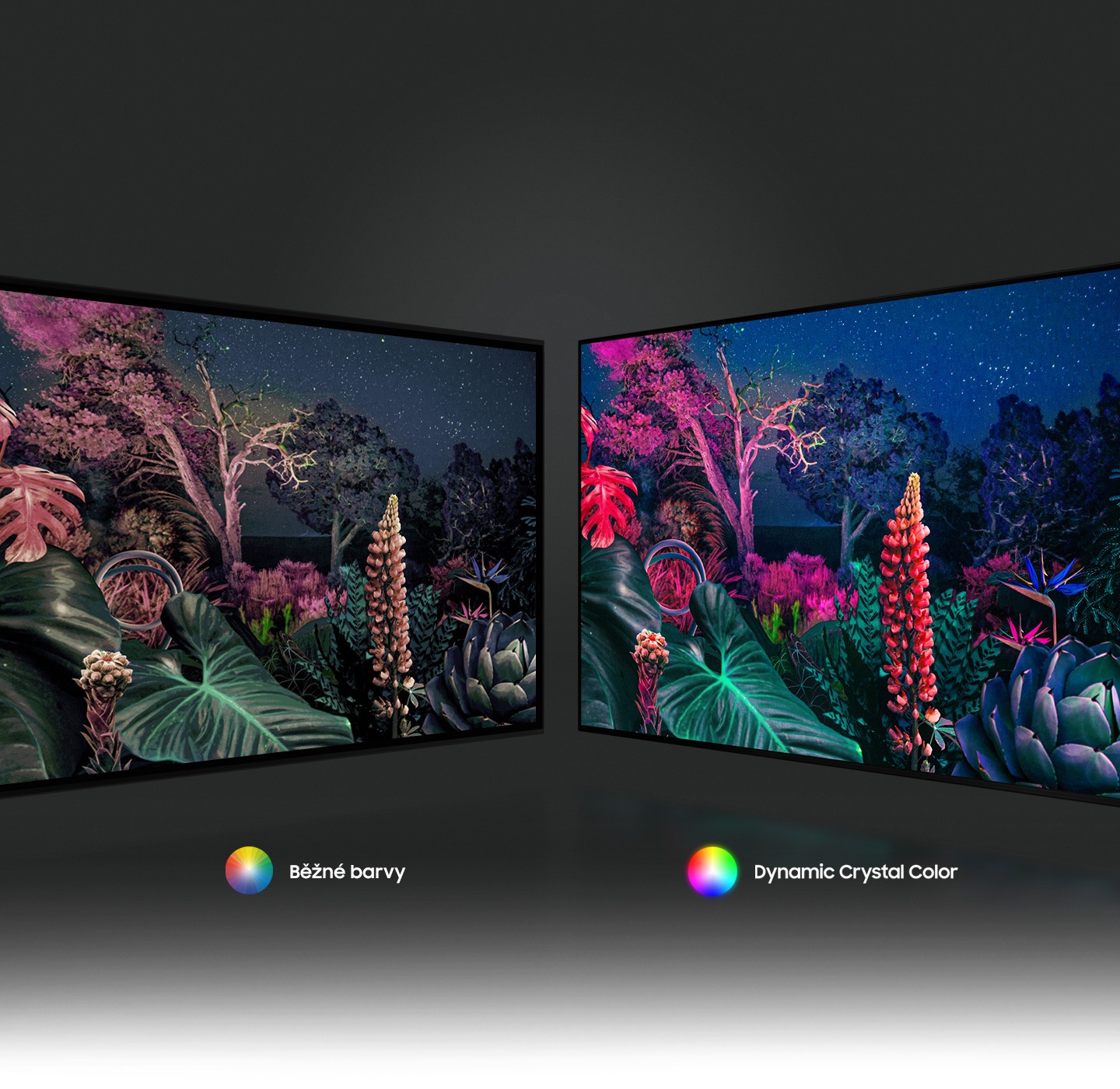 Lesní obraz vpravo ukazuje složitější barevný obraz díky technologii Dynamic Crystal Color ve srovnání s konvenčním nalevo.