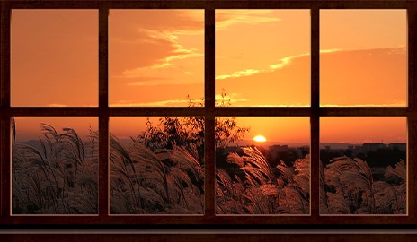 Scene of a sun setting over trees beyond a window.