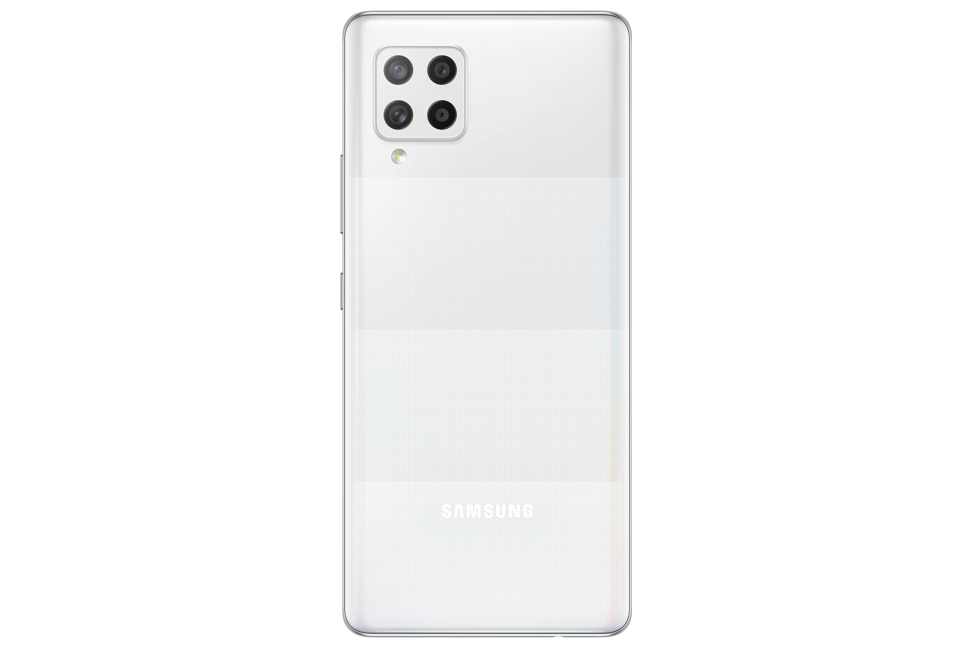 back White