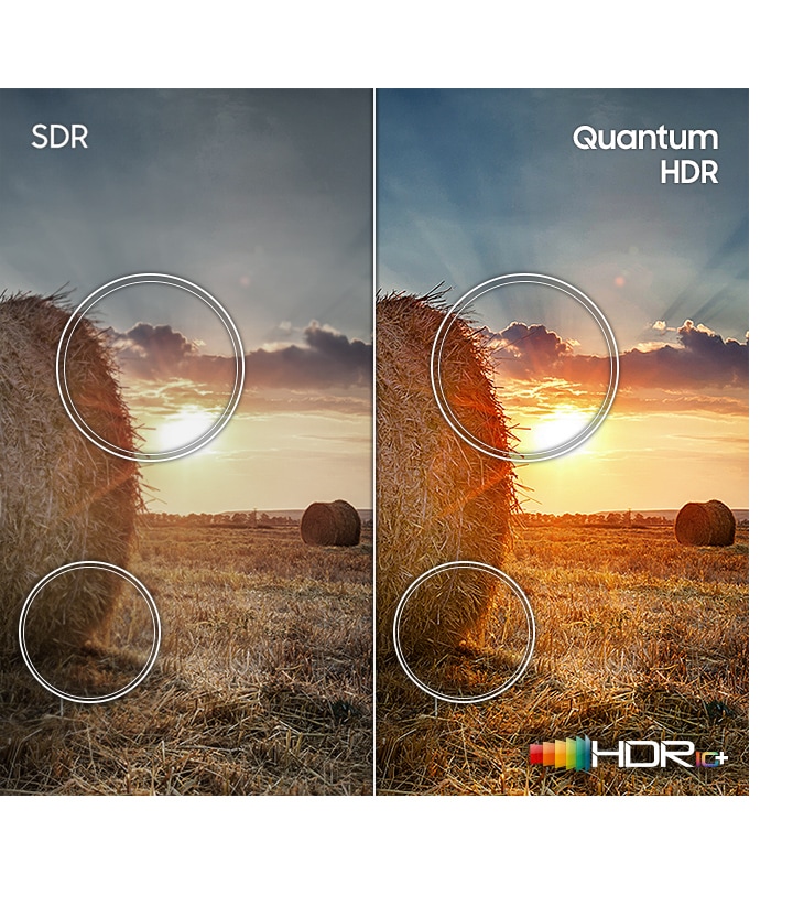 Rispetto alla tecnologia SDR, l'immagine della prateria del tramonto sulla destra che ha il logo HDR10 + mostra una gamma più ampia di contrasto creata dalla tecnologia Quantum HDR.