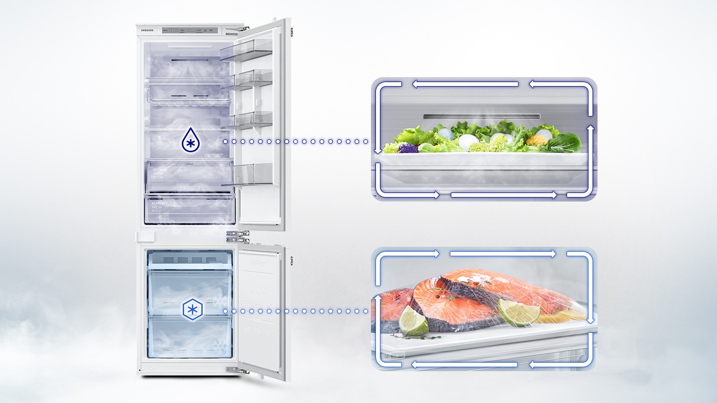 The BRB6000M's door opened. Cool air with moisture keeps the salad in the refrigerator compartment cool and moist. Cold air with moisture keeps salmon, lemons, and lime in the freezer fresh.