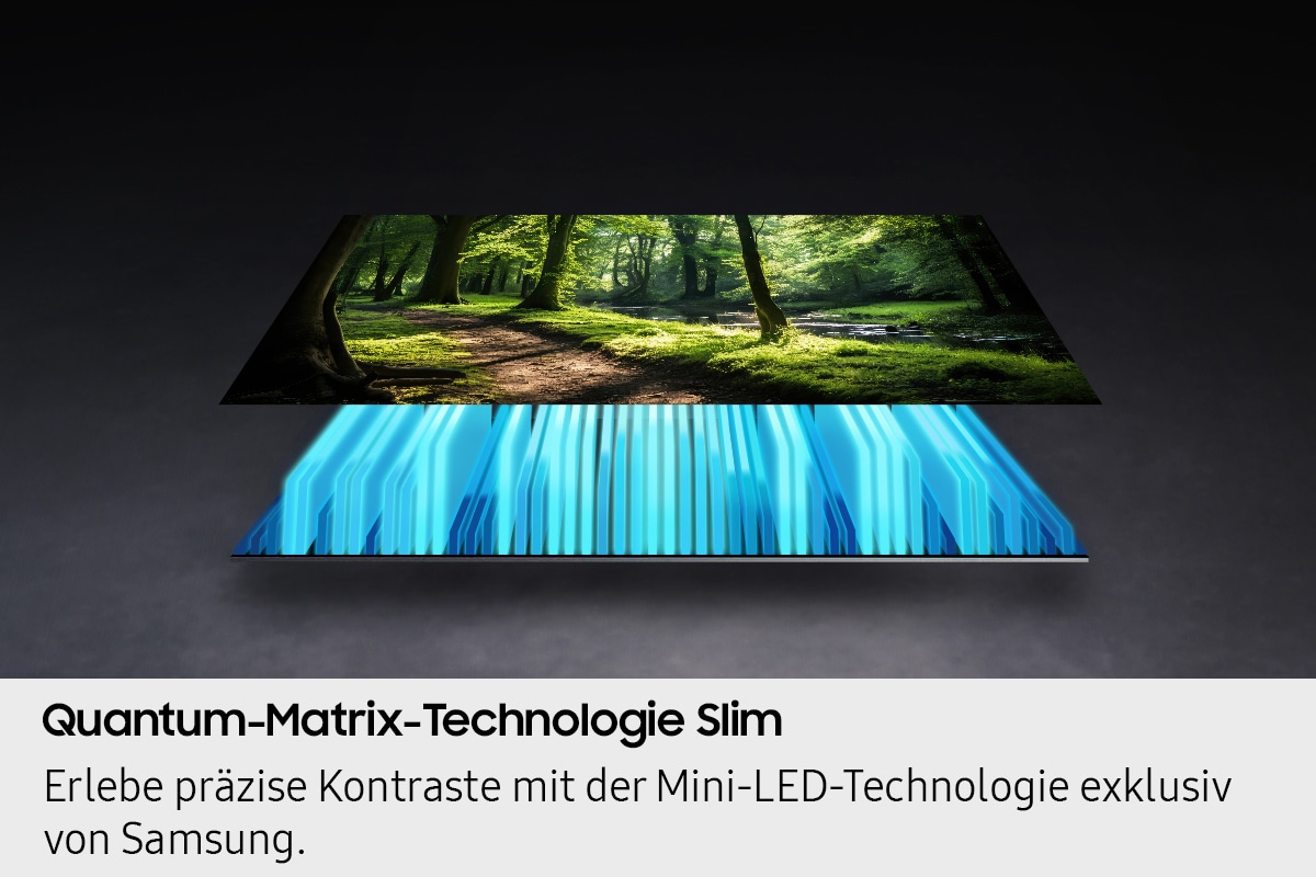 Die Hintergrundbeleuchtung und der Bildschirm des Fernsehers sind voneinander getrennt, wobei die Mini-LED-Hintergrundbeleuchtung den Bildschirm beleuchtet, um eine lebendige Waldszene darzustellen.