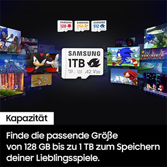 Werbemotiv zu dem Text „Jede Menge Platz für deine Abenteuer“: Verschiedene Samsung Speicherkarten (zentral 1 TB), darüber kleinere Speicherkarten (128 MB, 256 MB, 512 MB), rundherum Szenen aus Sonic-Spielen. 
