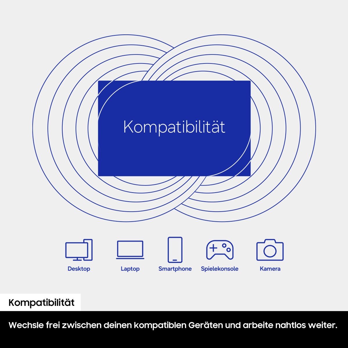Innerhalb der Silhouette einer Portable SSD ist der Text „Kompatibilität“ zu sehen. Darunter werden die Begriffe „Desktop“, „Laptop“, „Smartphone“, „Spielekonsole“ und „Kamera“ zusammen mit den entsprechenden Symbolen angezeigt.