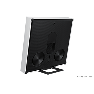 back-dynamic-with-stand White