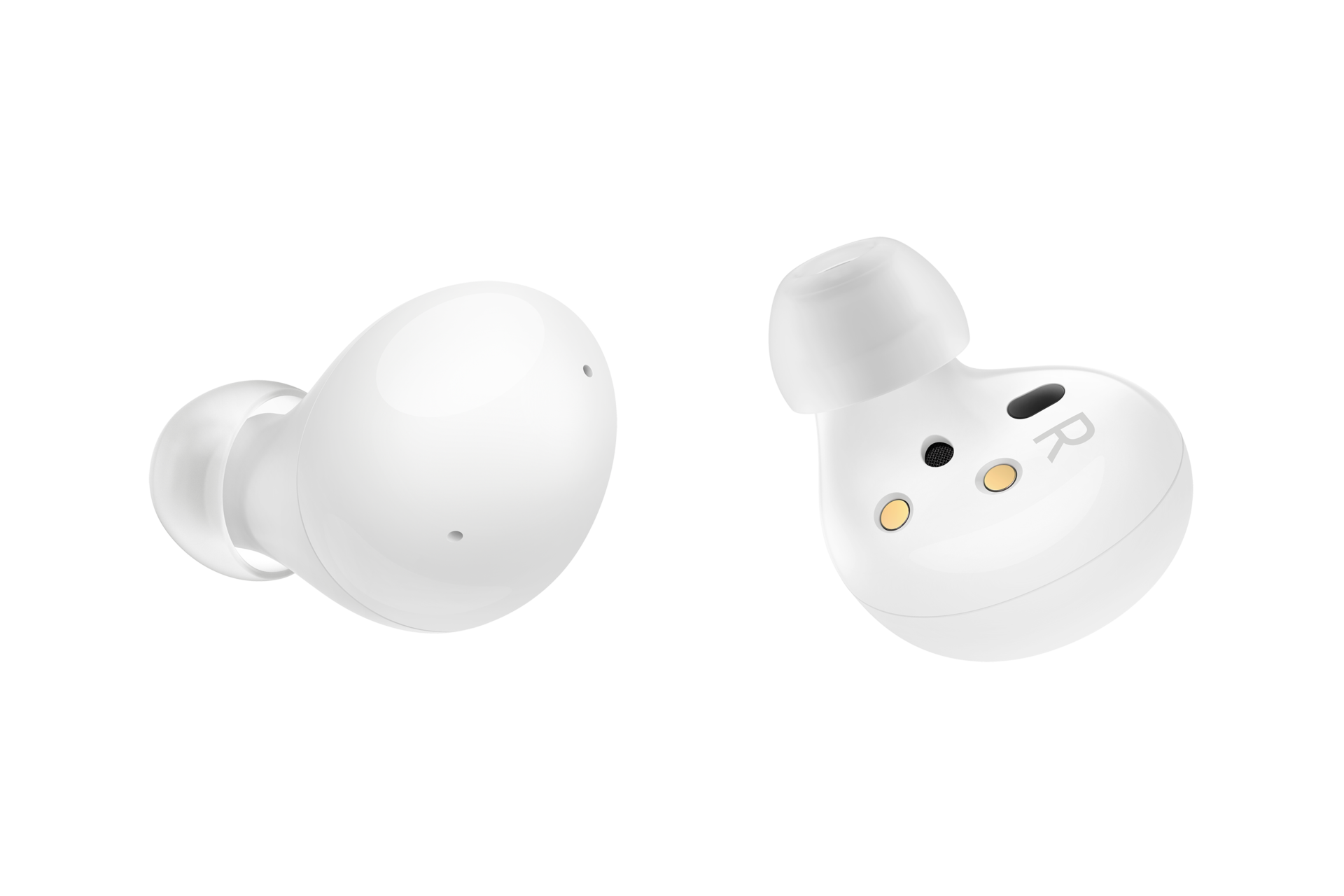 dynamic White