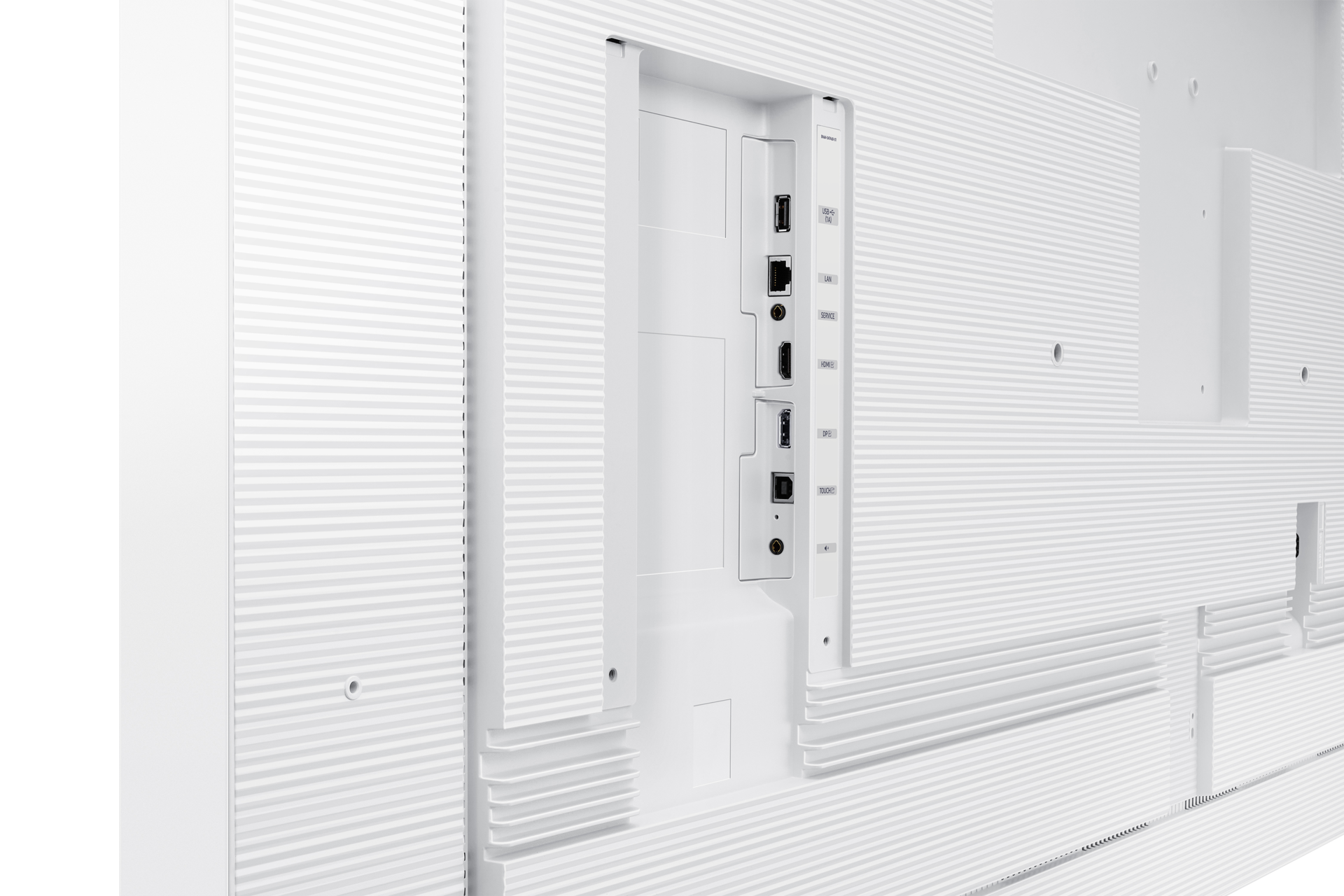 [báck~-détá~íl1 Wh~íté]