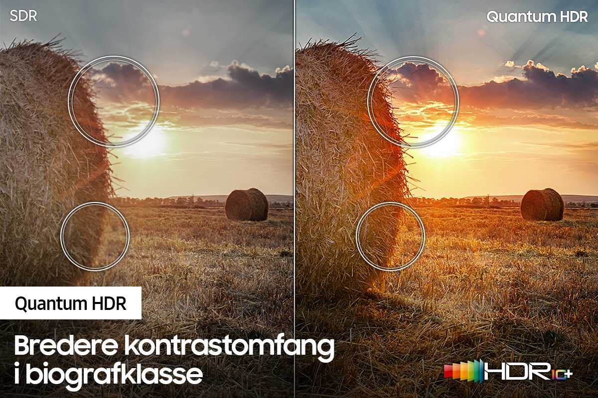 Billeder med SDR og Quantum HDR vises side om side på QLED-TV'et Q60A for at sammenligne detaljerne