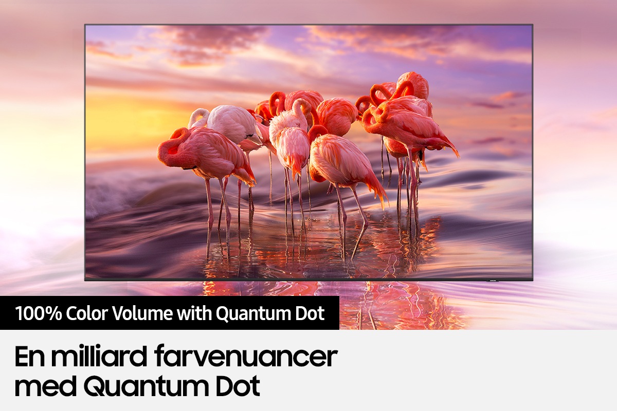 QLED-TV'et Q80A med Color Volume 100% kan genskabe et komplet farvespektrum