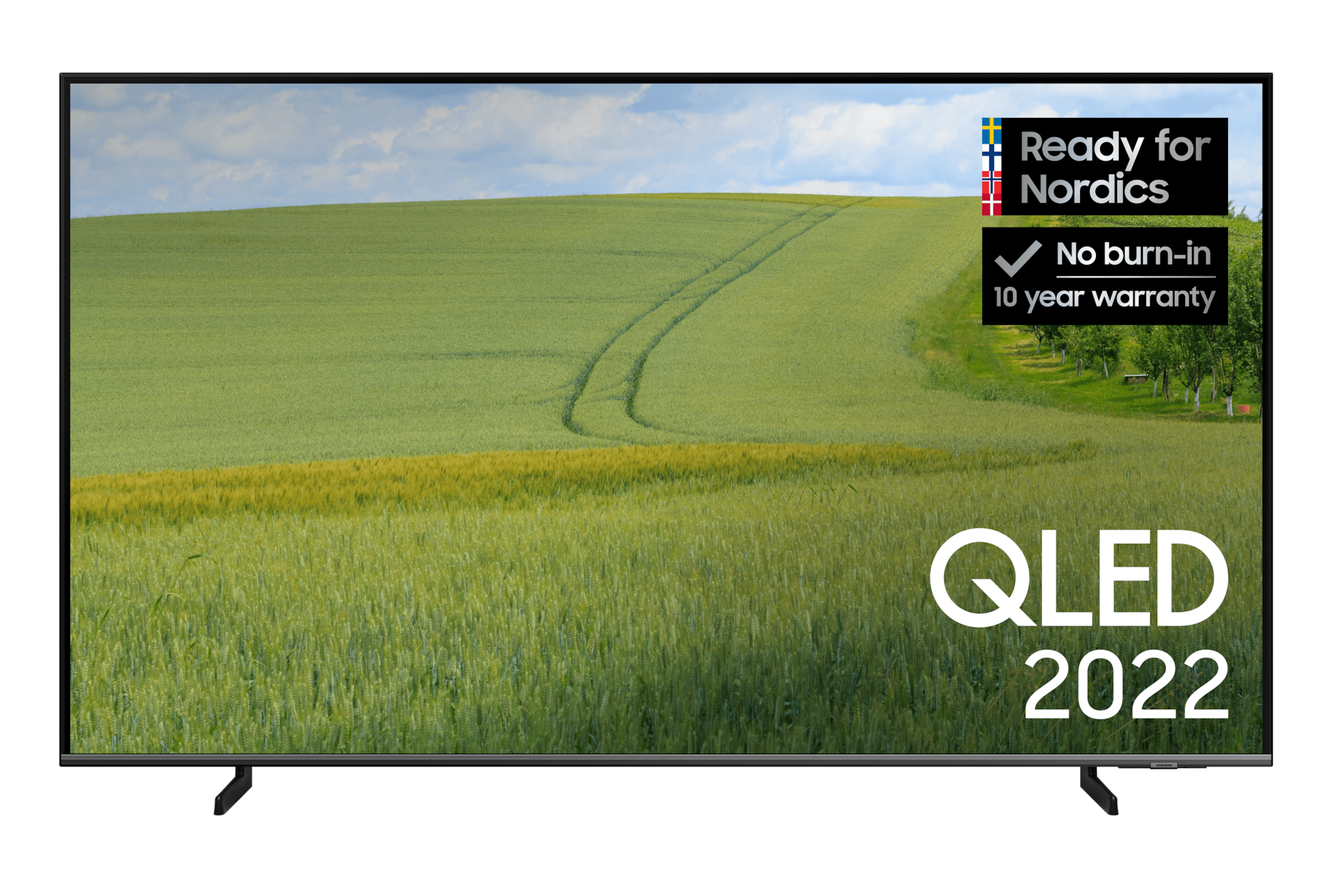 2020 Q60T QLED TV (UK) - Does it come with a Screen Protective