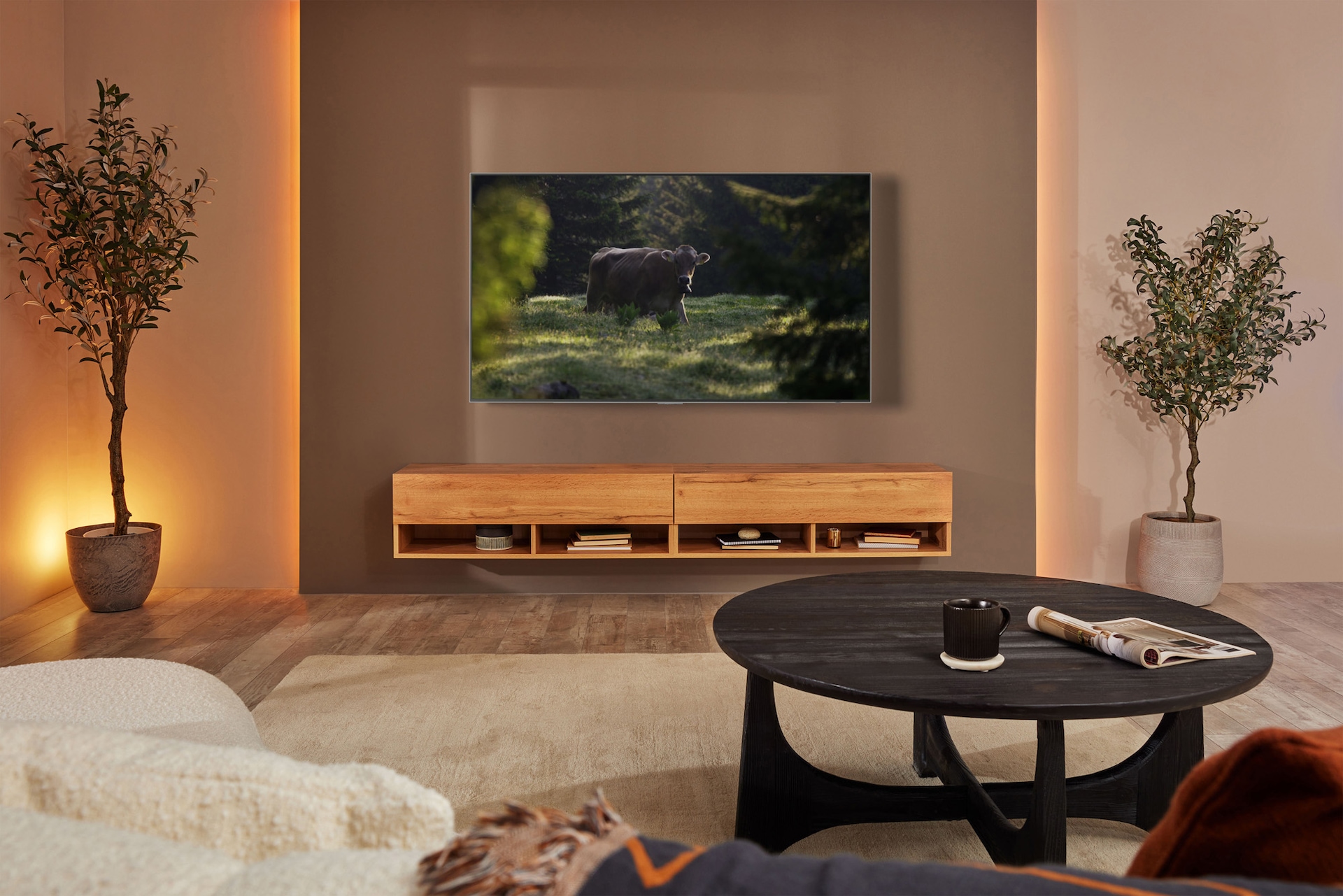 S95B OLED Lifestyle Feature Image 2 