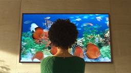 The Frame 2021: Watch colors bloom