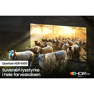 QLED-TV'et QN900A med Quantum HDR 4000 får flere detaljer frem i billederne