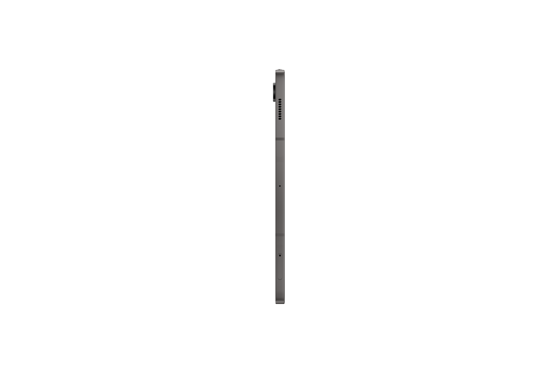 l-side Gray