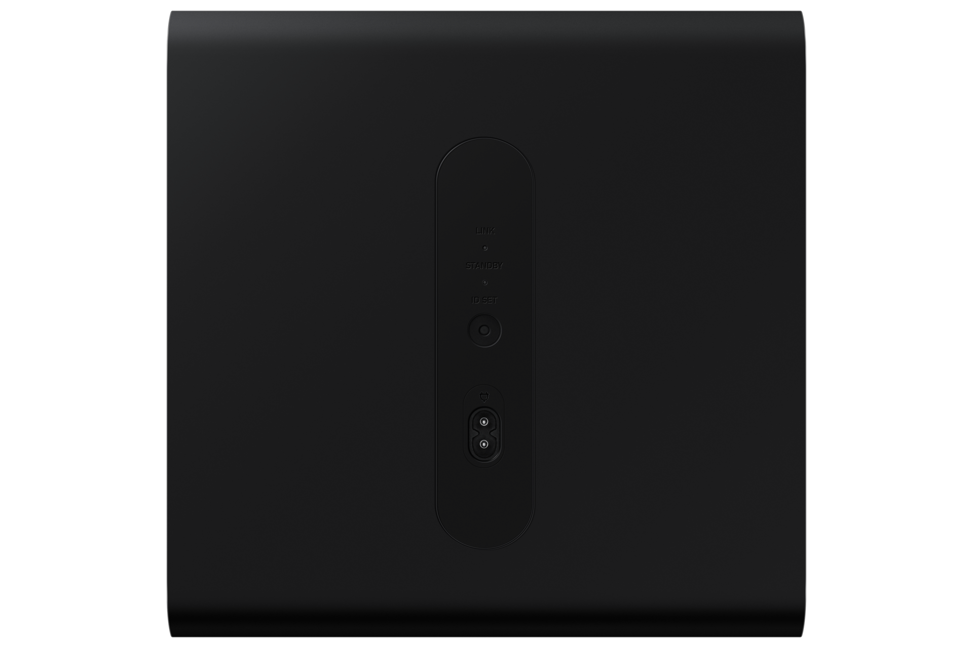 back Black