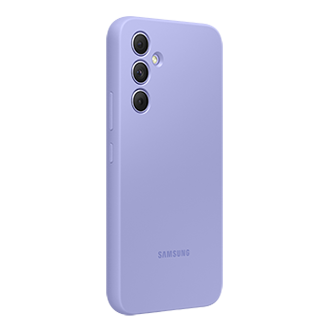 back-l-30 Blueberry