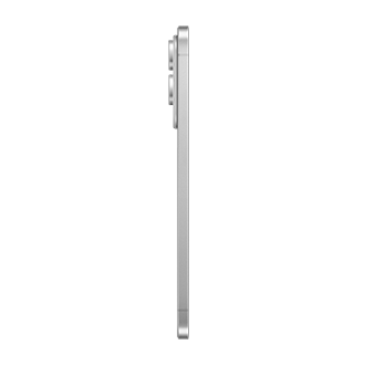 lside Titanium Silver