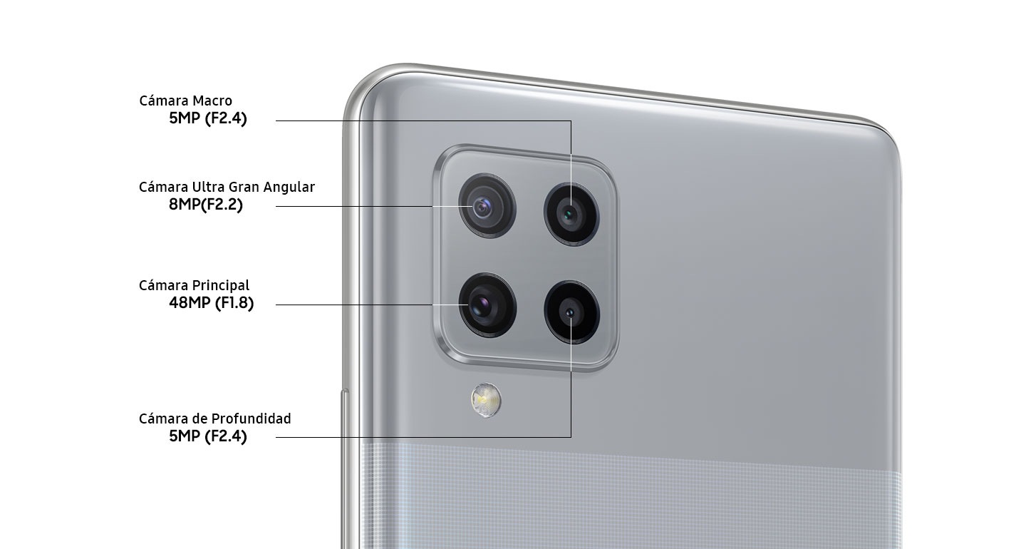 Multi Camera System
