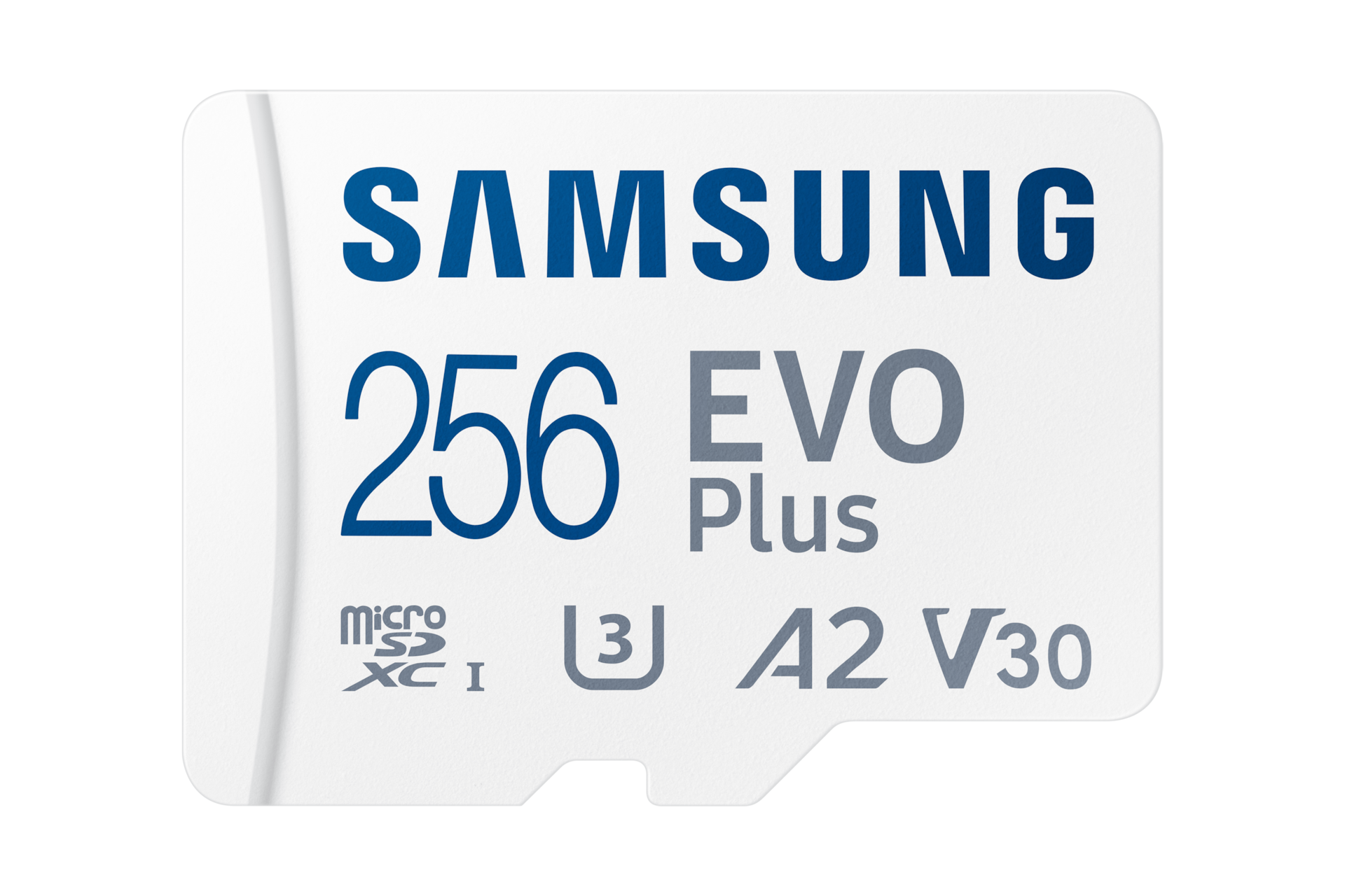 Samsung EVO Plus Tarjeta microSD 256GB (2021) - White, White