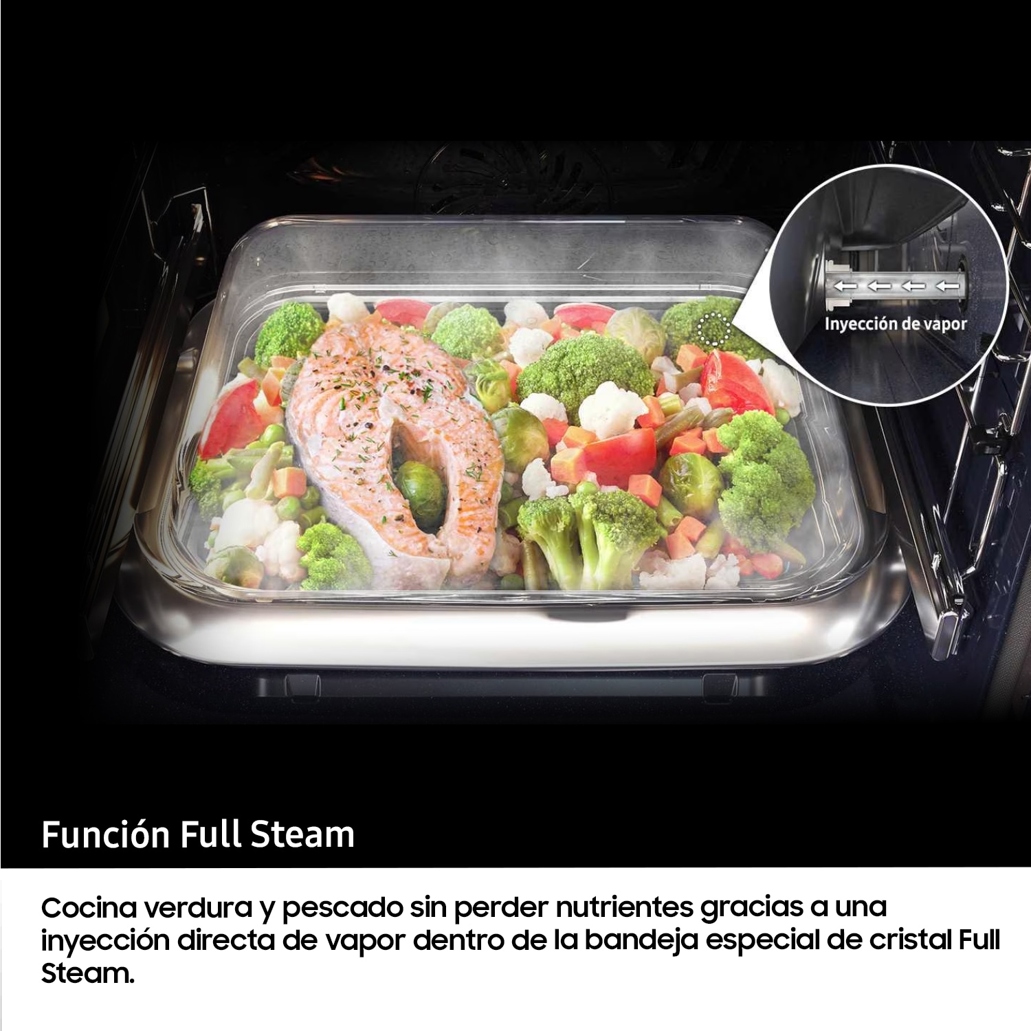 [ÑV7B6795J~ÁK/Ú1] 