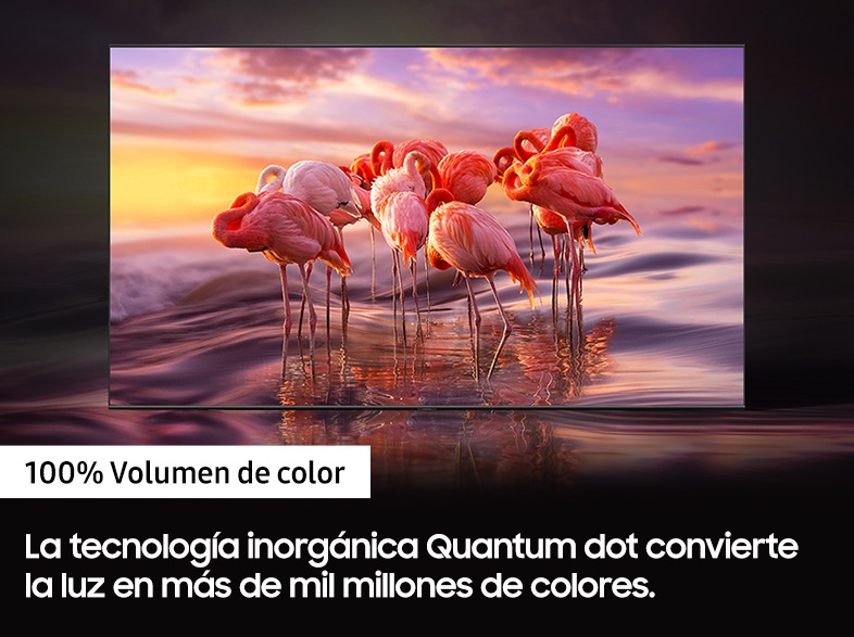 Un TV Samsung con un fondo de flamencos, mostrando los mil millones de colores de  la tecnología Quantum Dot
