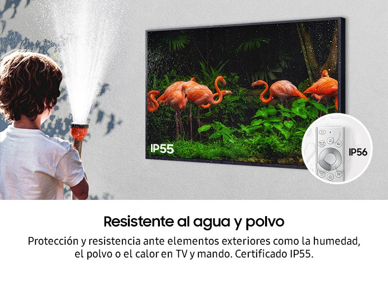 Un TV Terrace en la pared con flamencos en pantalla e indicando que es resistente al agua y al polvo