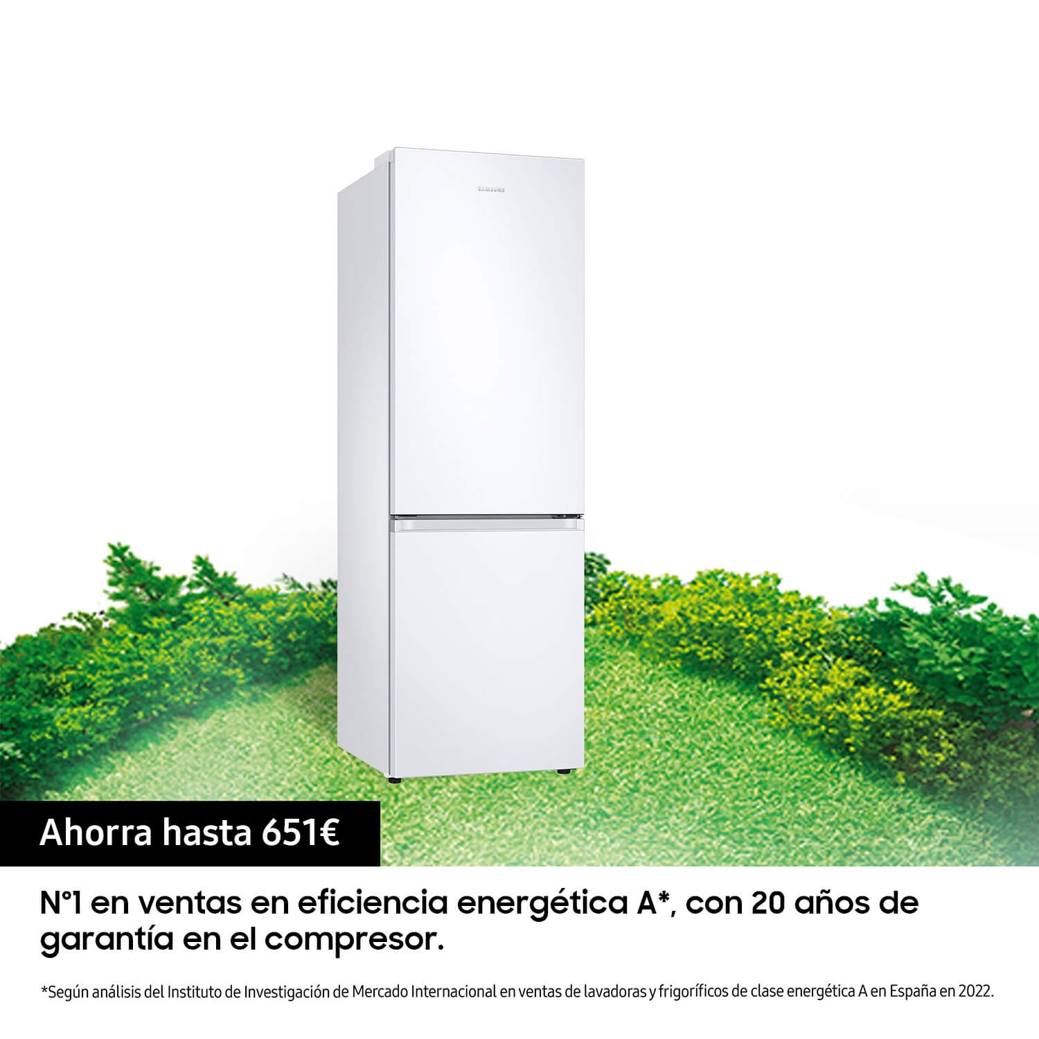 [RB34T602É~WW/ÉF~] 