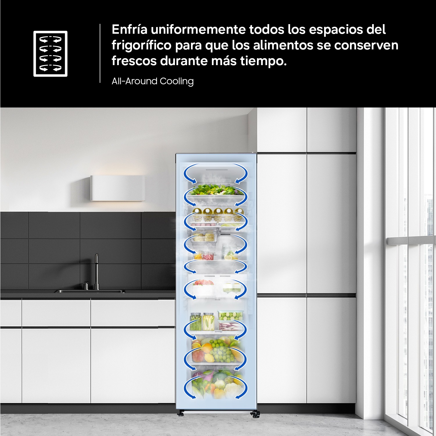 Tall One Door RI80H/24 AI precise cooling 387L Front-Open-With-Food Black 
