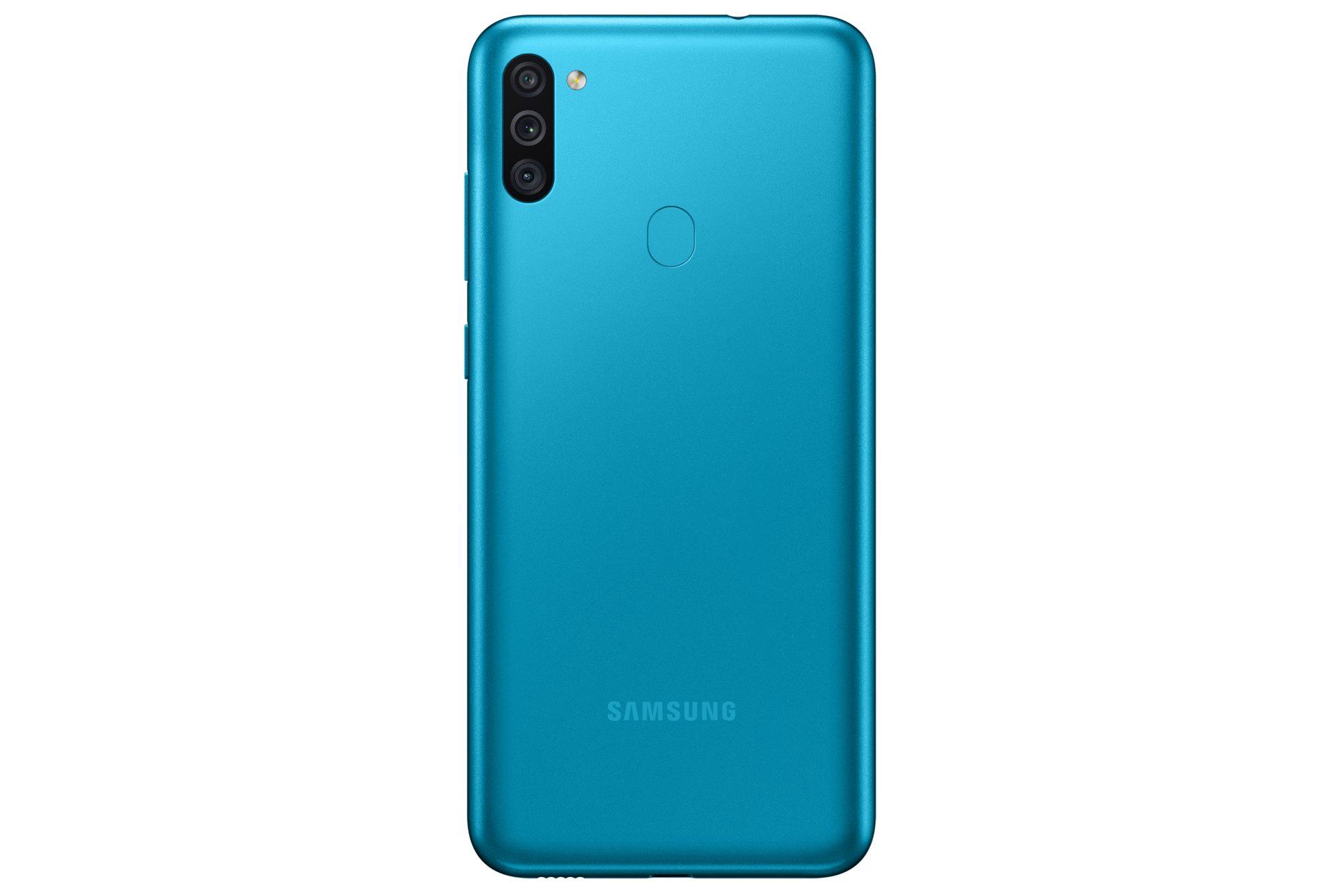 back Blue