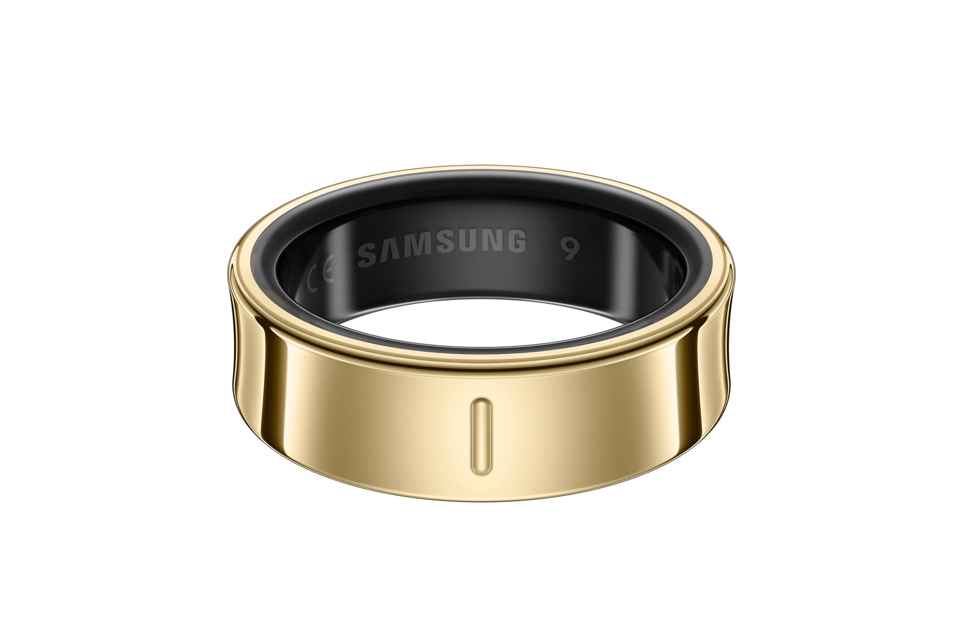 back Titanium Gold