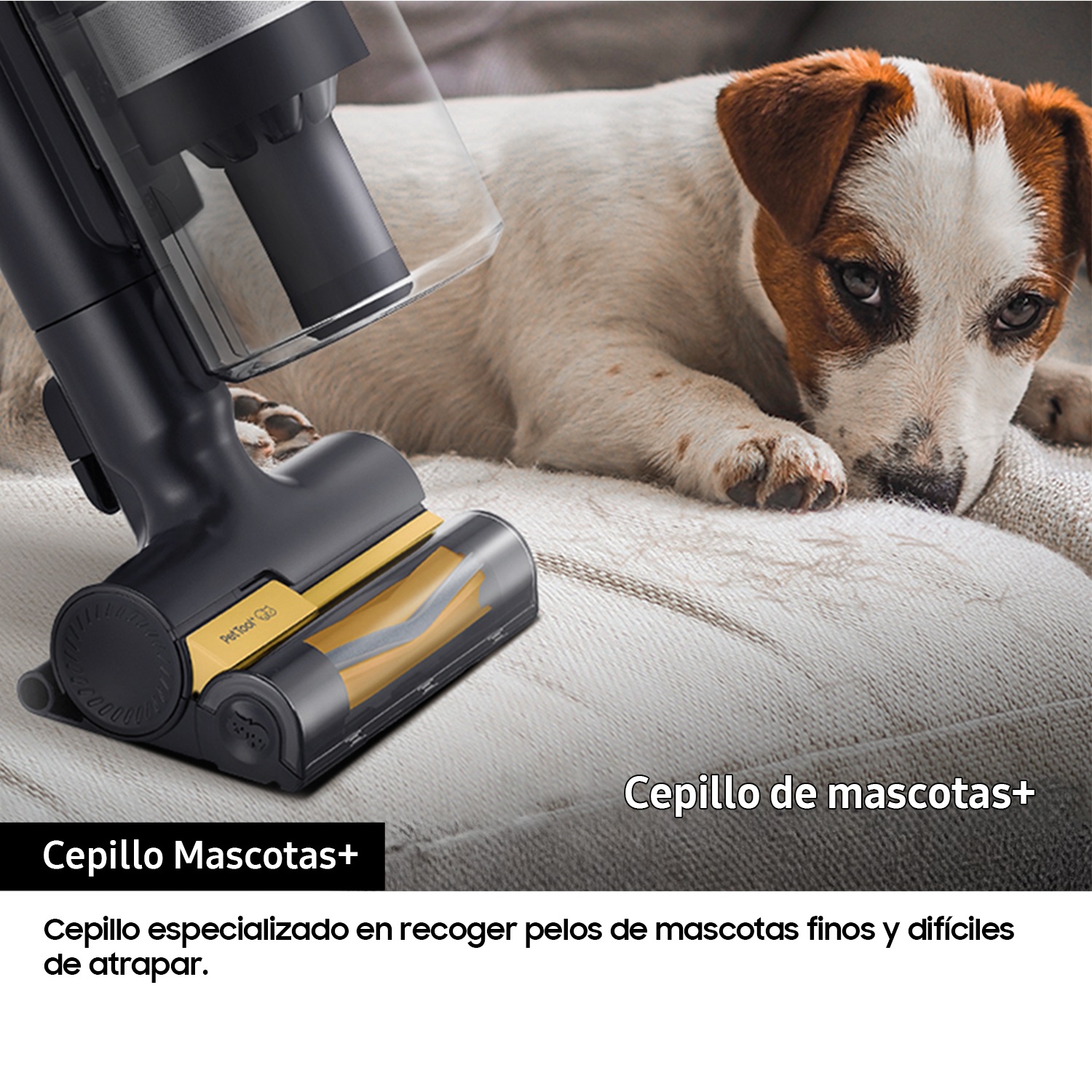 Aspiradora sin Cable Jet 85 Pet 210AW Cepillo Mascotas+ VS20C8522TN/WA Green