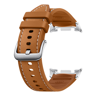 back-perspective Camel