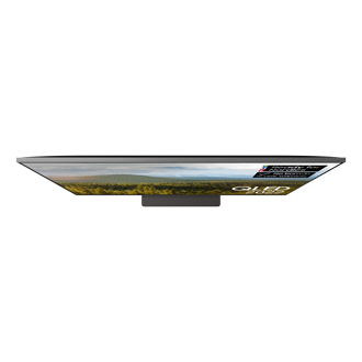 dynamic2 Silver