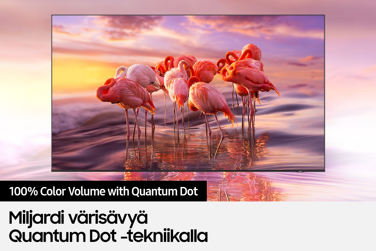 QLED TV Q60A:n 100 prosentin värivolyymi tuottaa kattavan värien kirjon