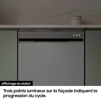 Lave-vaisselle Pose-libre Gris