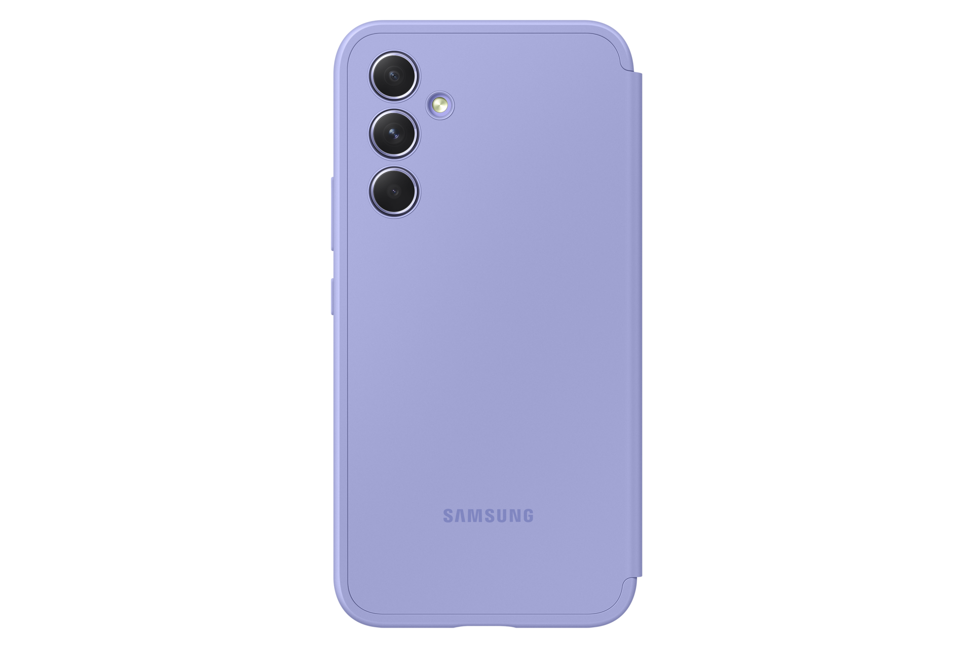 back Blueberry