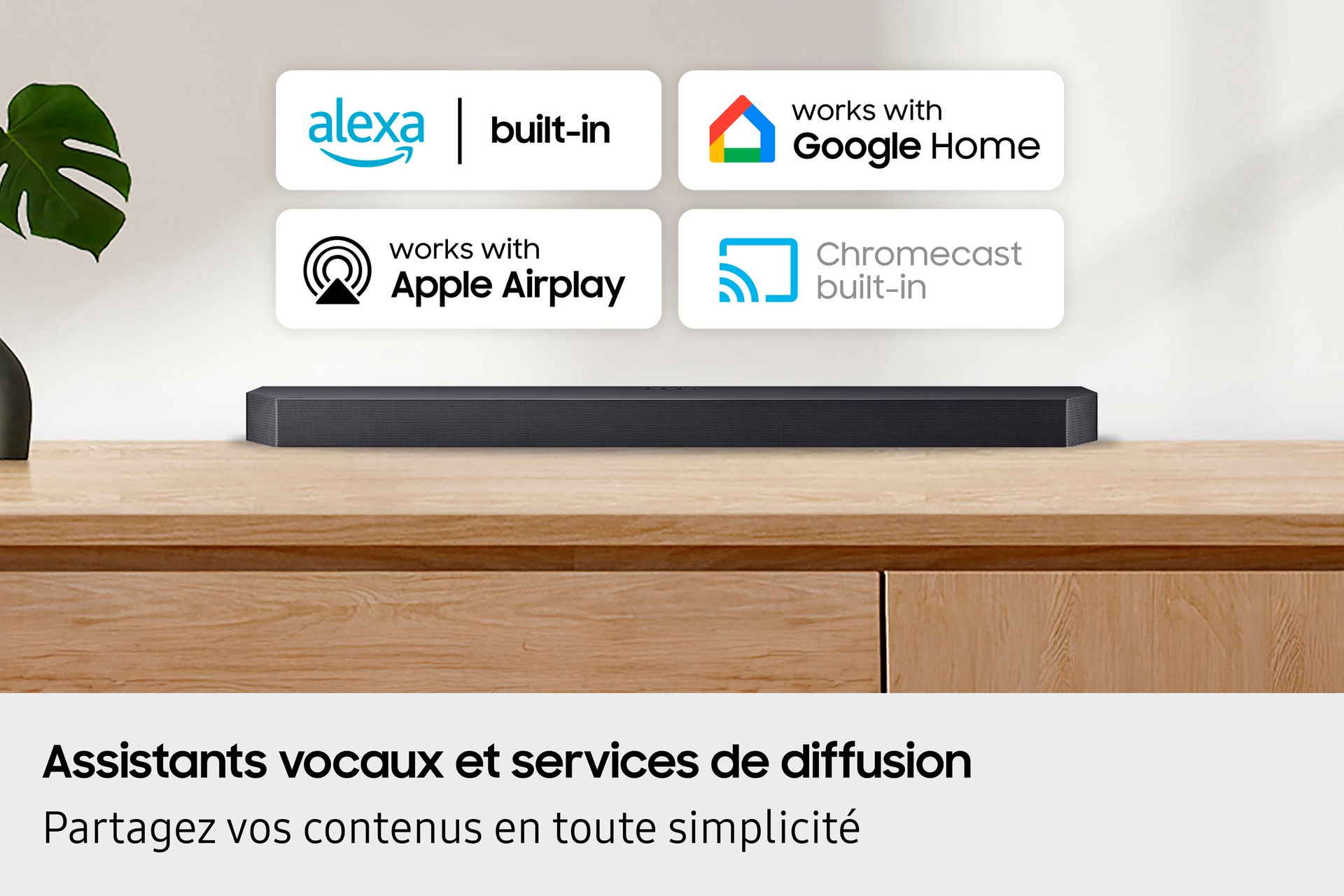 ASSISTANTS VOCAUX