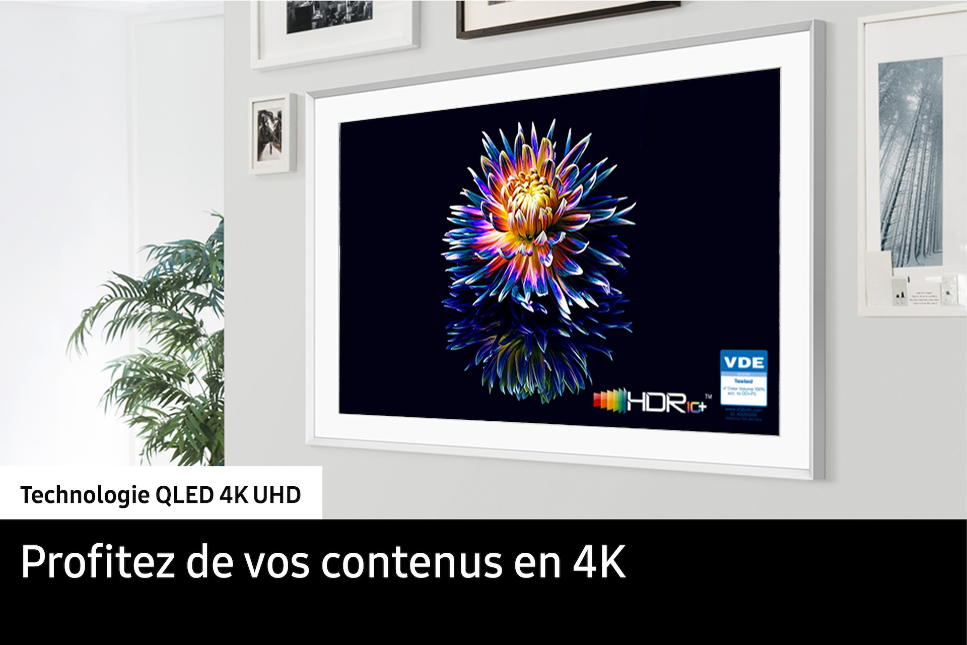 QLED 4K UHD