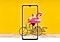 Une femme à vélo derrière le Galaxy A32 5G. L'image se place sur les bords de l'écran du téléphone pour représenter sa vue immersive.